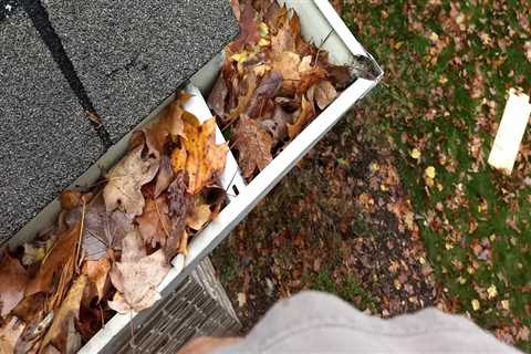 When should gutters be cleaned spring or fall?