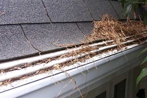 Are gutter guards worth it?