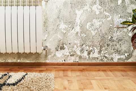 Is mold a deal breaker when buying a house?