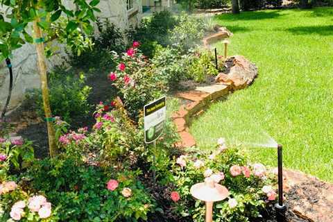 Landscaping For Conroe Texas