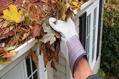 How often gutter cleaning?