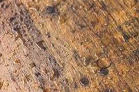 Save your wood flooring from getting wet