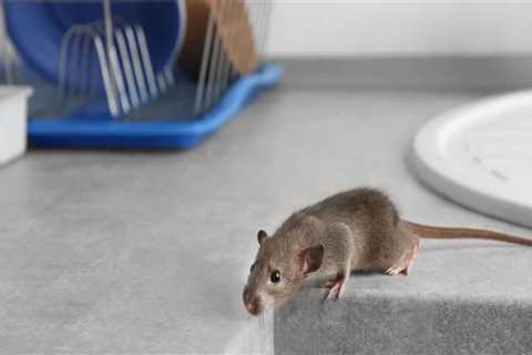 What kills rodents fast?