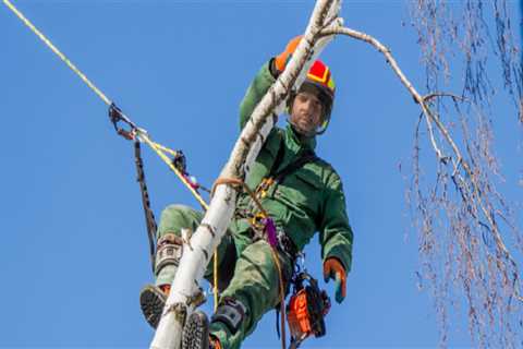 What industry does an arborist fall under?