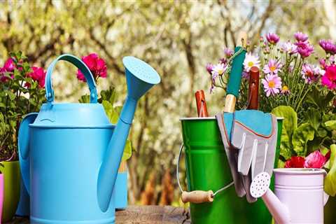 Why Watering Your Home Garden is Essential