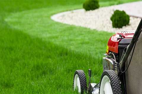 Top 15 Spring Yard Clean Up Checklist