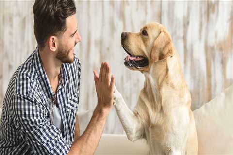 Pest control and puppies?