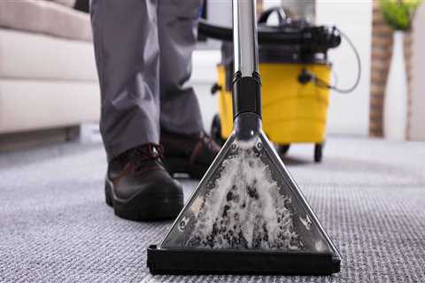 Are carpet cleaning businesses profitable?