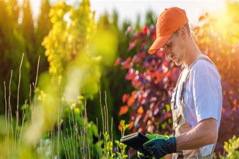 What are the benefits of hiring a landscaper?