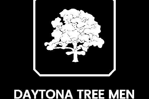 Tree Service New Smyrna Beach - Daytona Tree Men