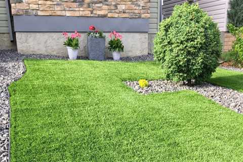 How often should you replace grass?