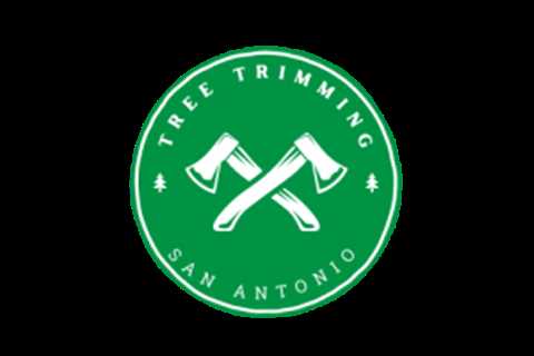 Privacy Policy – Tree Trimming San Antonio