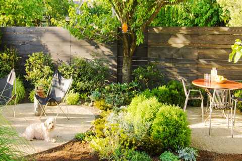 Creating a Kid-Friendly and Pet-Friendly Outdoor Living Space