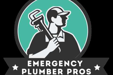 Sample Page - Emergency Plumber Pros