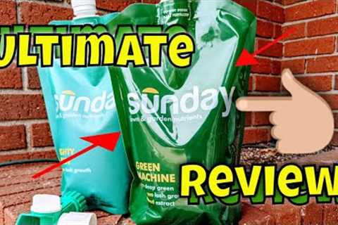Ultimate Sunday Lawn Care Review | Is It The Best Option For You?