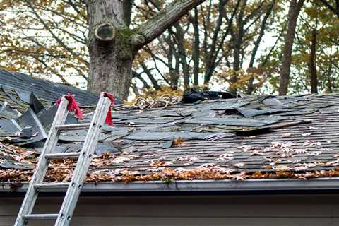 Discover 5 Signs it’s Time to Replace Your Roof Today