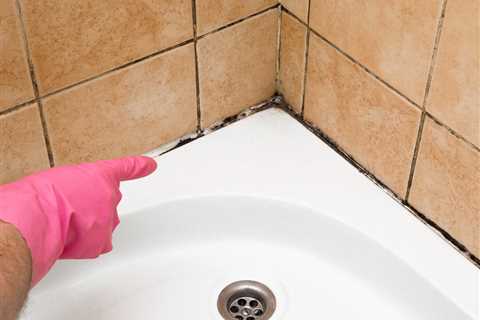 Pink Mold In Shower