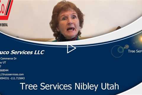 Emergency Tree Services Nephi Utah
