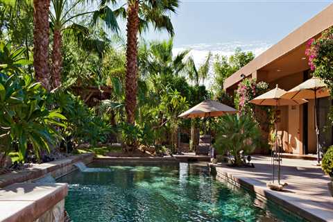 Planting Trees Near a Pool: What to Consider