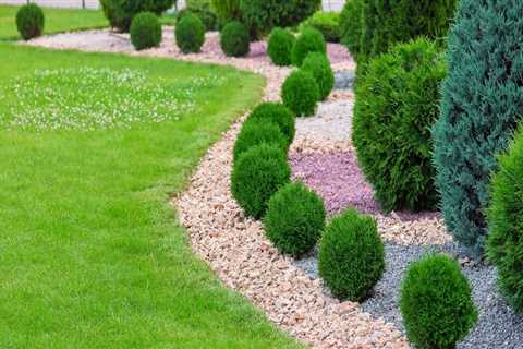 Creating the Perfect Lawn Border for Your Residential Landscaping Project