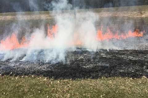 Forest Fire Prevention Planning and Implementation Services in Wellston, Ohio