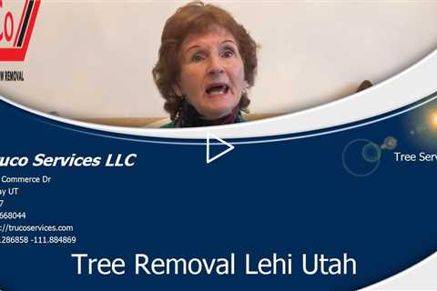 Municipal Tree Service Lehi Utah