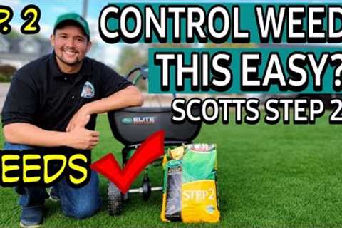 CONTROL WEEDS with Scotts Step 2 | How to Easy Lawncare