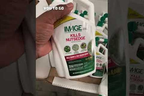 All You need in ONE minute// lawn care supplies for beginners