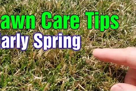 Early Spring Lawn Tips: What To Do 1st, 2nd, & 3rd