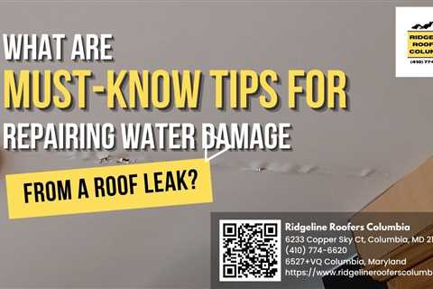 What are Must-Know Tips for Repairing Water Damage from a Roof Leak?