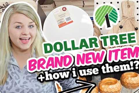 Grab these *BRAND NEW* Dollar Tree items for BRILLIANT DIYS 2023 (fake high end looks)