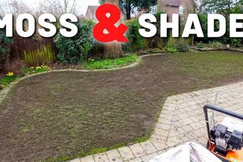 Shaded & Mossy Full UK Lawn Care Rennovation