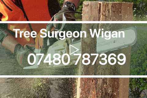 Tree Surgeon Wigan 24 hour Tree Surgery Root Removal Stump Removal & Other Tree Services