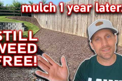 MULCH BEDS Are EASY to KEEP Weed & Grass Free If You Follow These Simple Lawn & Gardening..