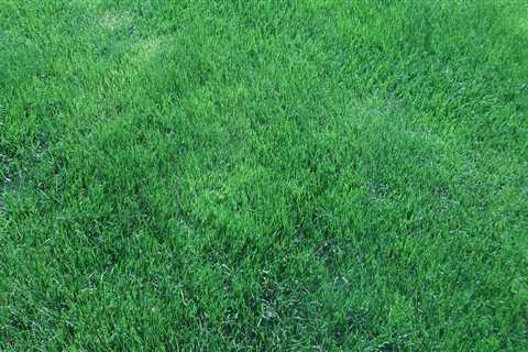 What is organic lawn care?