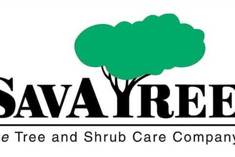 SavATree merges with Lyndon Tree Care & Landscaping