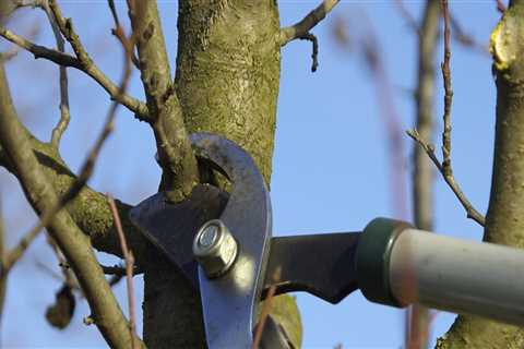 Why is Tree Pruning So Expensive?