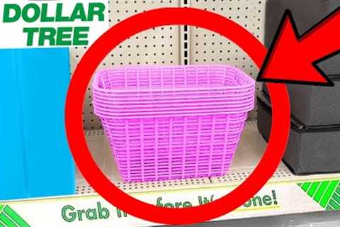 10 Things You SHOULD Be Buying at Dollar Tree in June 2023