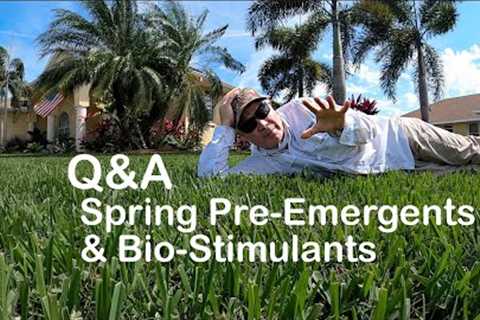 Spring Lawn FAQs: Pre-Emergents and Bio-Stimulants