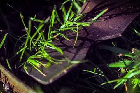 How Lawn Mower Blades Cut Grass (at 50,000 FRAMES PER SECOND) - Smarter Every Day 196