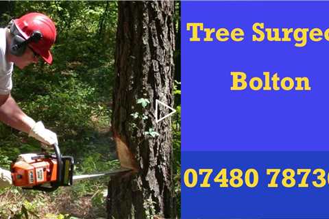 Tree Surgeon Bolton 24 Hour Tree Felling Root & Stump Removal Services Commercial And Residential