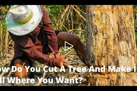 Tree Removal Burlington: 962 S Spruce St Burlington, WA 98233 | +1 360-503-0571