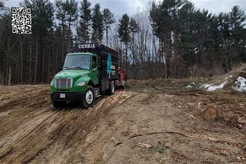 Does stump grinding remove roots?