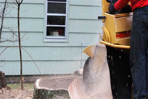 How to Make Money from Stump Grinding Jobs