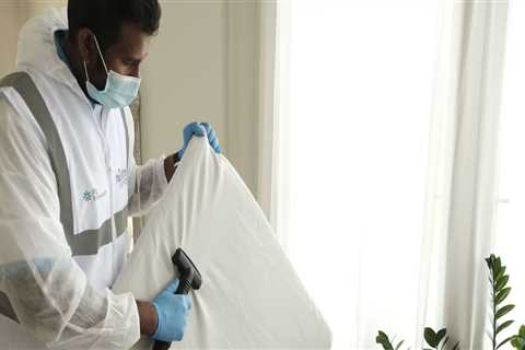 Tips For Maintaining A Sustainable Home With Professional House Cleaning Services In Austin