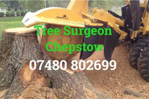 Tree Surgeon Chepstow