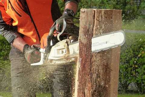 Llanfable Tree Surgeon 24-Hour Emergency Tree Services Felling Dismantling And Removal