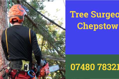 Tree Surgeons Llandenny 24-Hour Emergency Tree Services Removal Dismantling & Felling