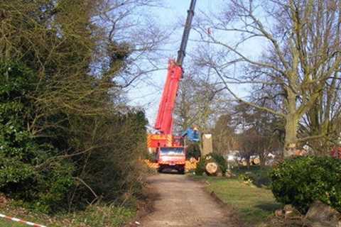 Tree Surgeon in Little Moor 24-Hr Emergency Tree Services Dismantling Removal & Felling