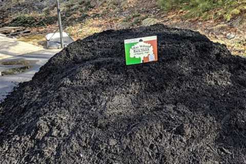 Ray Wilson Bark Mulch – Know All About It